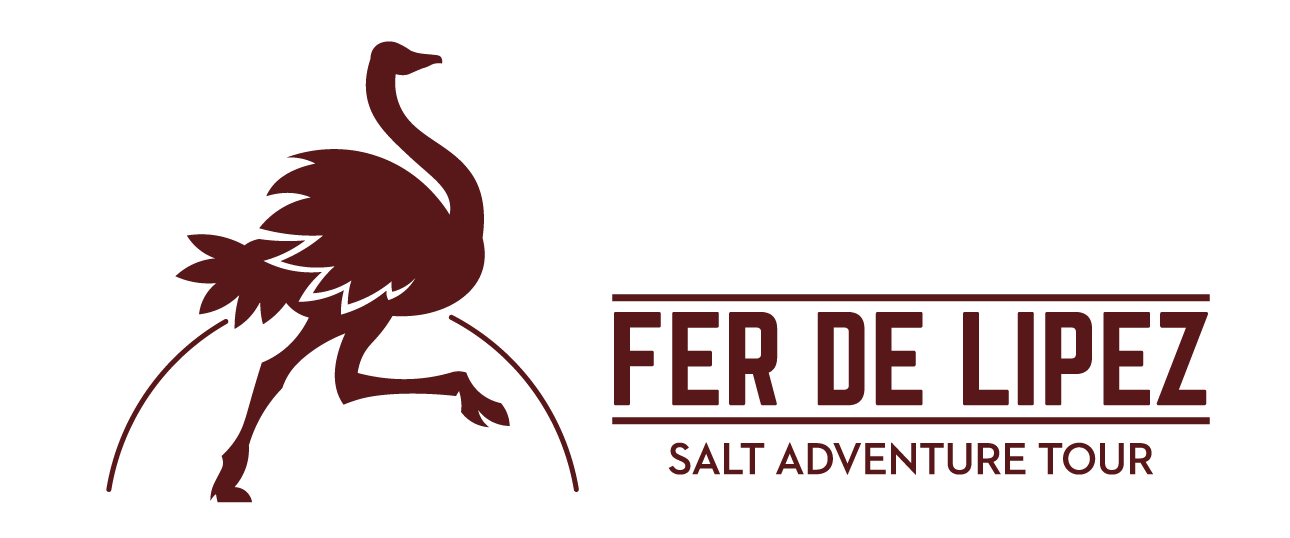 Salt Adventure Tour
