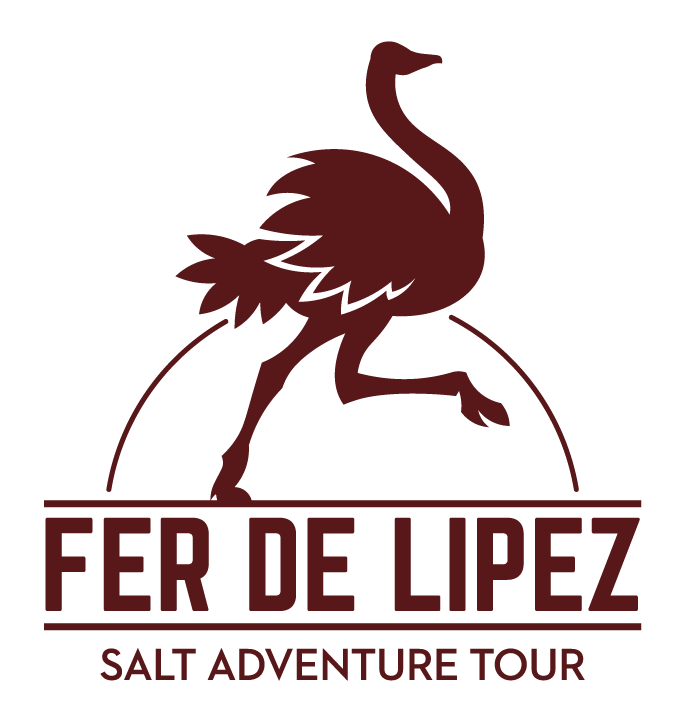 Salt Adventure Tour